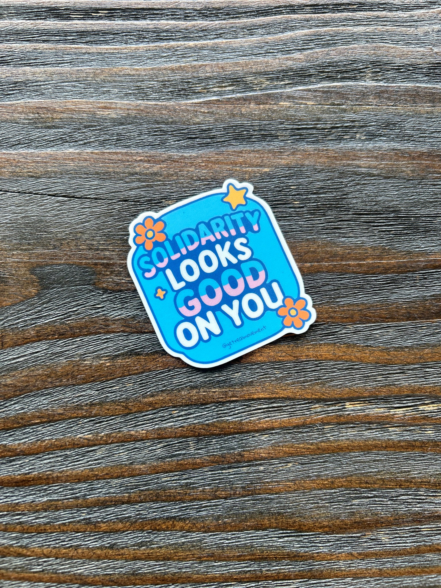 Single sticker - Solidarity Looks Good On You